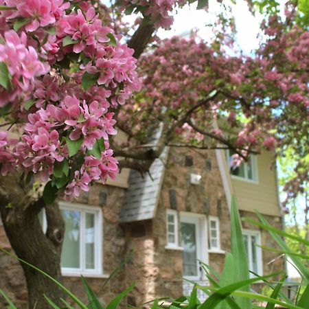 Rester Vivant Chambres D'Hotes Saint-Jean-Port-Joli Zewnętrze zdjęcie